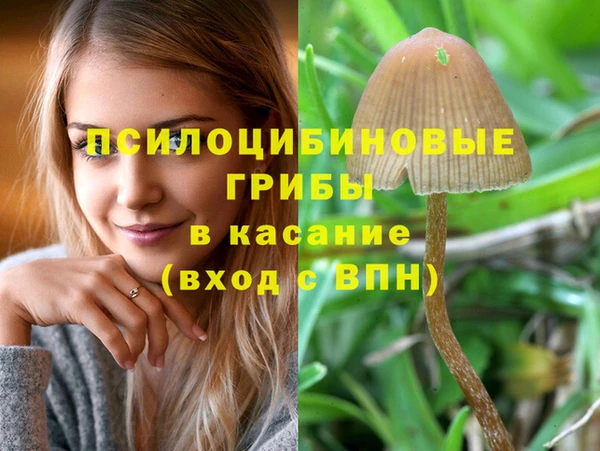 соль курить ск Нея