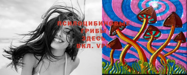 не бодяженный Нефтегорск